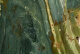 Free-Standing, Gary Green Jasper (Larsonite) Bog Wood - Oregon #334845-2